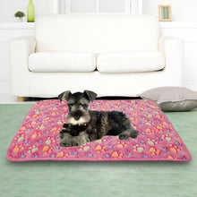 Load image into Gallery viewer, Coral Fleece Pet Blanket