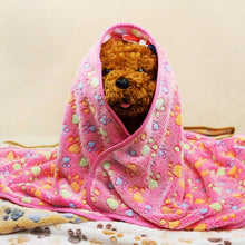 Load image into Gallery viewer, Coral Fleece Pet Blanket