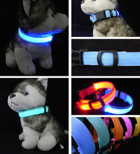 Load image into Gallery viewer, Glow In The Dark Dog Leash