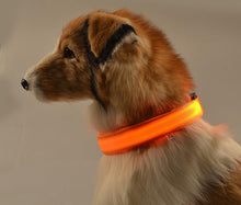 Load image into Gallery viewer, Glow In The Dark Dog Leash