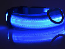 Load image into Gallery viewer, Glow In The Dark Dog Leash