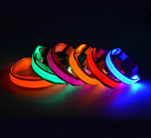 Load image into Gallery viewer, Glow In The Dark Dog Leash