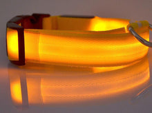 Load image into Gallery viewer, Glow In The Dark Dog Leash