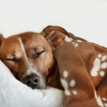 Load image into Gallery viewer, Soft Fleece Puppy Sleep Blanket