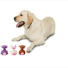 Load image into Gallery viewer, Latex Chew Squeaker