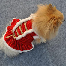 Load image into Gallery viewer, Doggy Costume Clothing