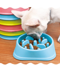 Load image into Gallery viewer, Healthy Diet Dish