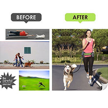 Load image into Gallery viewer, Hands Free Dog Leash