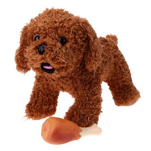 Load image into Gallery viewer, Pet Squeaky Chew Toy