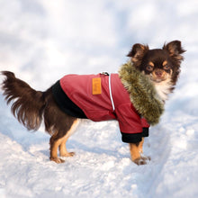 Load image into Gallery viewer, Winter Dog Jacket