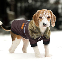Load image into Gallery viewer, Winter Dog Jacket