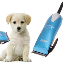 Load image into Gallery viewer, Electrical Pet Clipper 25W