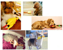 Load image into Gallery viewer, Screaming Rubber Chicken