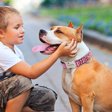 Load image into Gallery viewer, Personalized Nameplate Collar