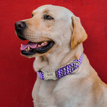 Load image into Gallery viewer, Personalized Nameplate Collar