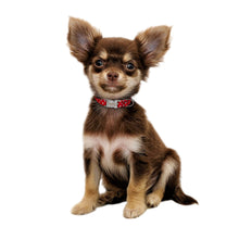 Load image into Gallery viewer, Personazlied Dog Collar