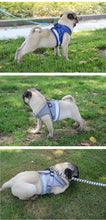 Load image into Gallery viewer, Reflective Walking Lead Leash