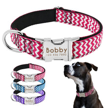 Load image into Gallery viewer, Personalized Nameplate Collar