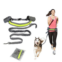 Load image into Gallery viewer, Hands Free Dog Leash