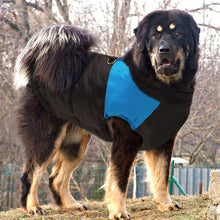 Load image into Gallery viewer, Large Dog Clothes
