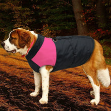 Load image into Gallery viewer, Large Dog Clothes