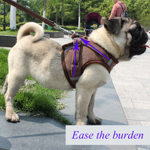 Load image into Gallery viewer, Dog And Cat Leash Harness