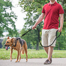 Load image into Gallery viewer, Reflective Large Dog Leash
