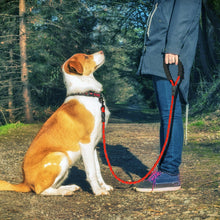 Load image into Gallery viewer, Reflective Large Dog Leash