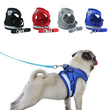 Load image into Gallery viewer, Reflective Walking Lead Leash