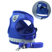 Load image into Gallery viewer, Reflective Walking Lead Leash