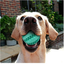 Load image into Gallery viewer, Nontoxic Bite Resistant Toy Ball