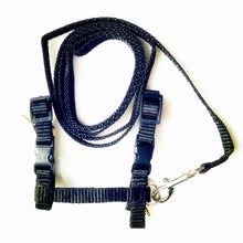 Load image into Gallery viewer, Nylon Pet Cat Harness And Leash