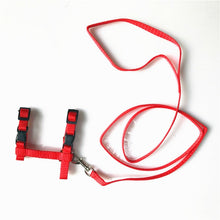 Load image into Gallery viewer, Nylon Pet Cat Harness And Leash