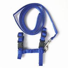 Load image into Gallery viewer, Nylon Pet Cat Harness And Leash