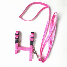 Load image into Gallery viewer, Nylon Pet Cat Harness And Leash