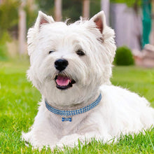 Load image into Gallery viewer, Rhinestone Dog Collar