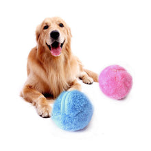 Load image into Gallery viewer, Practical Magic Roller Ball Toy