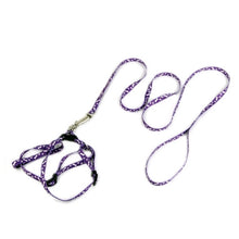 Load image into Gallery viewer, Adjustable Pet Leash Collar