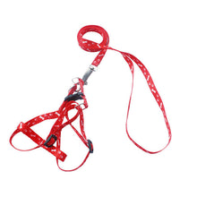 Load image into Gallery viewer, Adjustable Pet Leash Collar