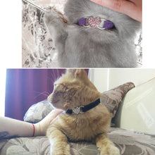 Load image into Gallery viewer, Heart Charm and Bell Cat Collar