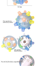 Load image into Gallery viewer, Pet Flashing Dog Ball