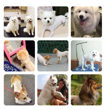 Load image into Gallery viewer, Rechargeable Pet Clipper