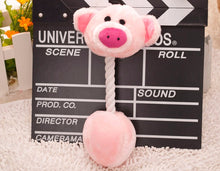 Load image into Gallery viewer, Cats Cute Biting Rope Toy